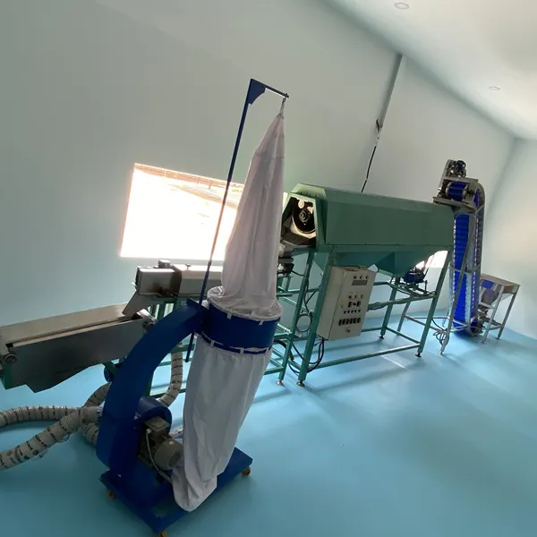 Machine à éplucher les noix de cajou 1 tête
