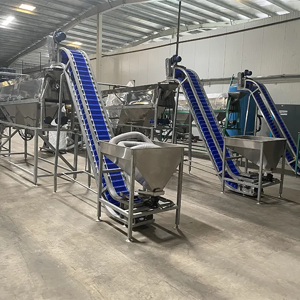 Cashew Peeling Machine 2 Head