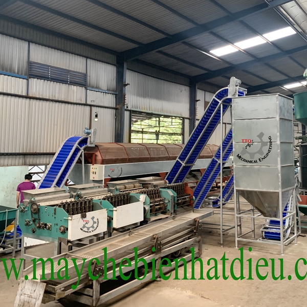 30TPD Cashew Processing Plant | White Kernel Line Vietnam
