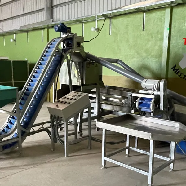 Machine à Décortiquer les Noix de Cajou Ligne Complète à 10 Têtes (10H1)