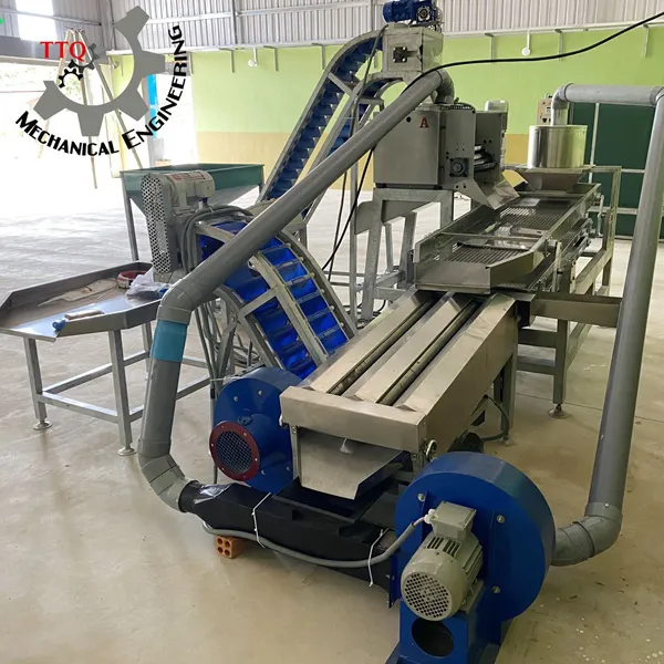 Machine à Décortiquer les Noix de Cajou Ligne Complète à 10 Têtes (10H1)
