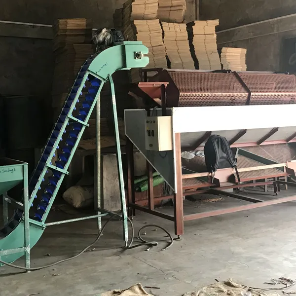 Machine de tri de taille de noix de cajou 3 mètres