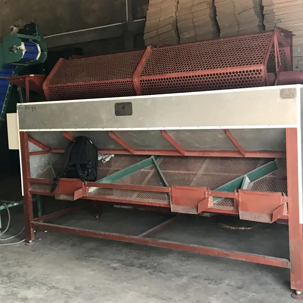 Machine de tri de taille de noix de cajou 3 mètres
