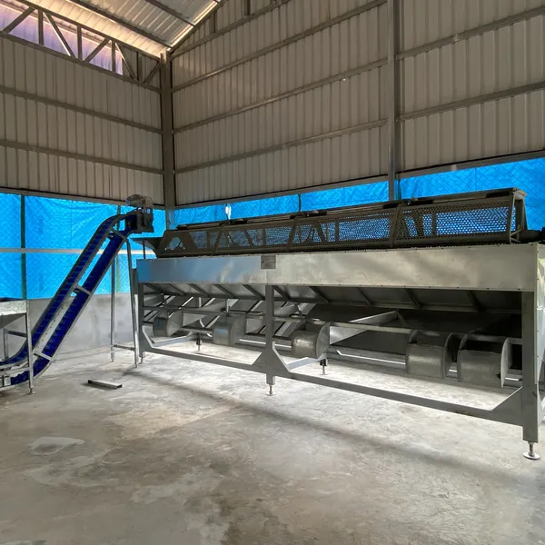 Máquina clasificadora de anacardos de 6 metros