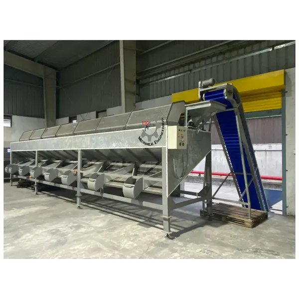 Cashew Size Sorting Machine 9m