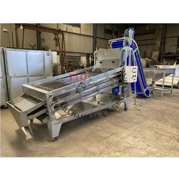 Machine de classification de noix de cajou 24 axes