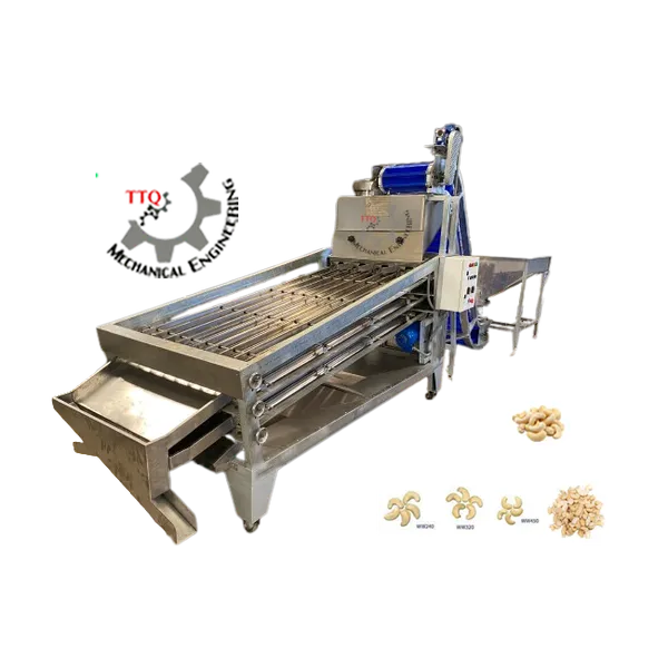 Cashew Kernel Grading Machine 24 Axis