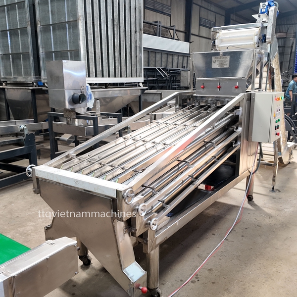Cashew Kernel Grading Machine 18 Axis