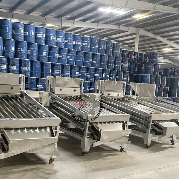 Cashew Kernel Grading Machine 24 Axis