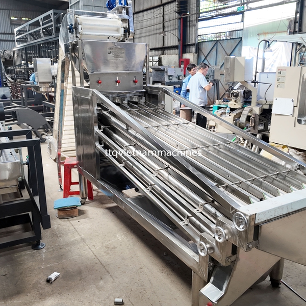 Cashew Kernel Grading Machine 18 Axis