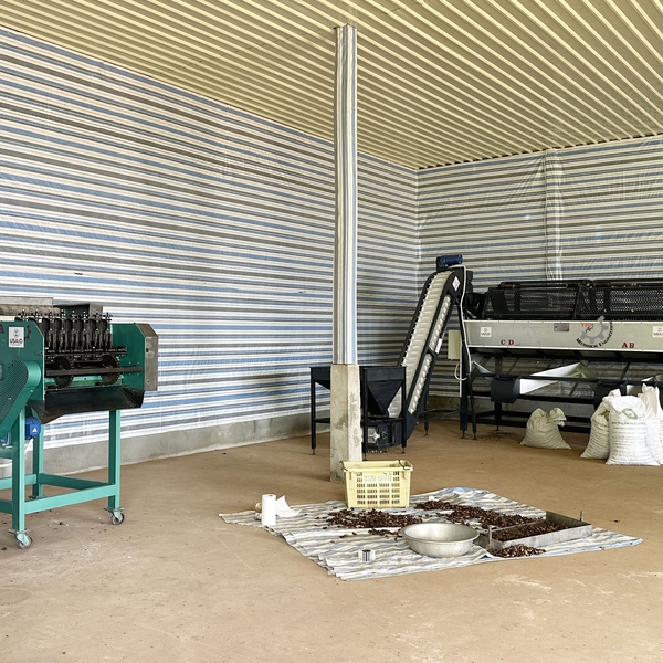 Cashew Size Sorting Machine 3m