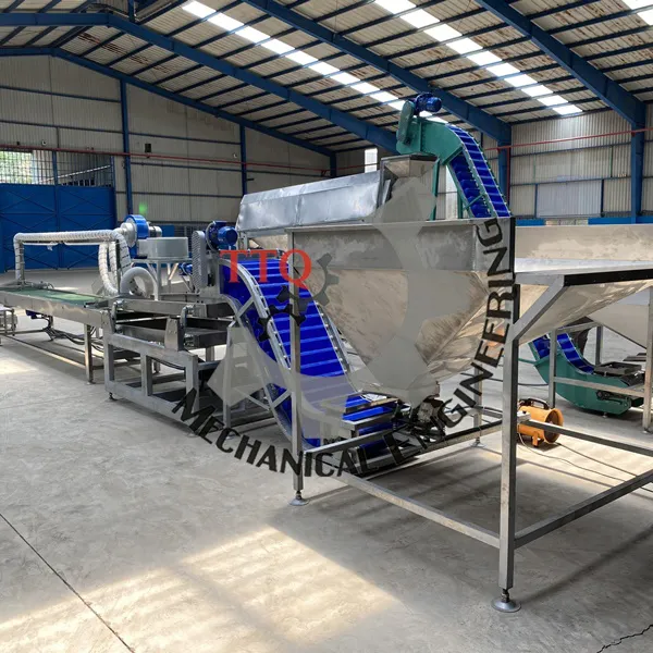 Ligne complète de machine d’emballage sous vide