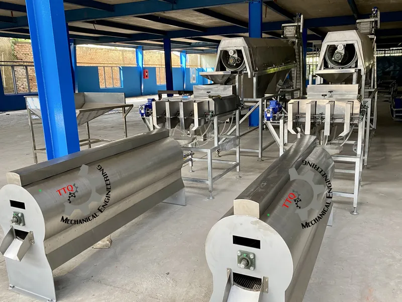 Kaju Peeling Machine – Cashew Peeling Equipment from Vietnam Manufacturer TTQ