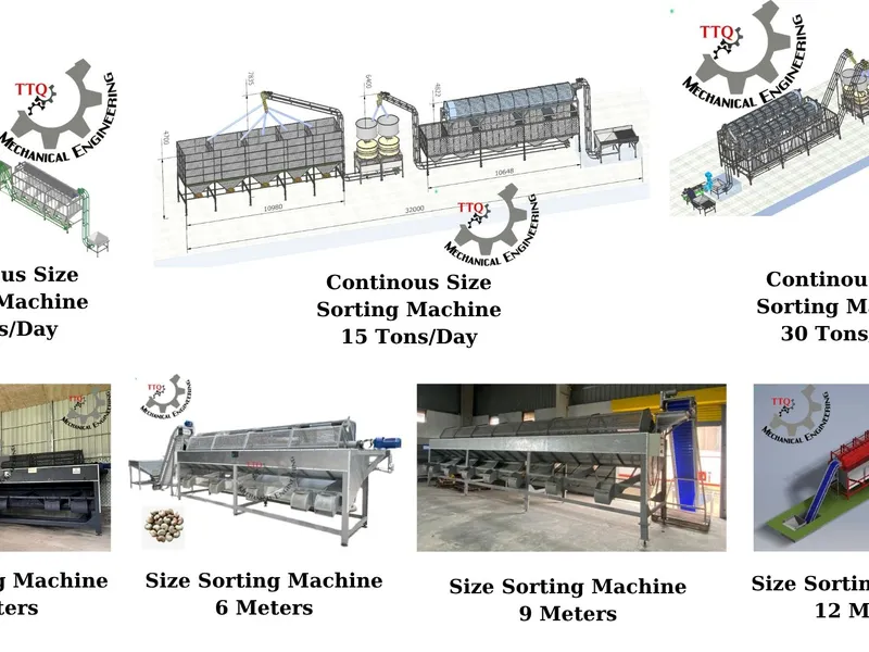 Machine de tri des noix de cajou brutes – Modèles TTQ Vietnam et caractéristiques 2025
