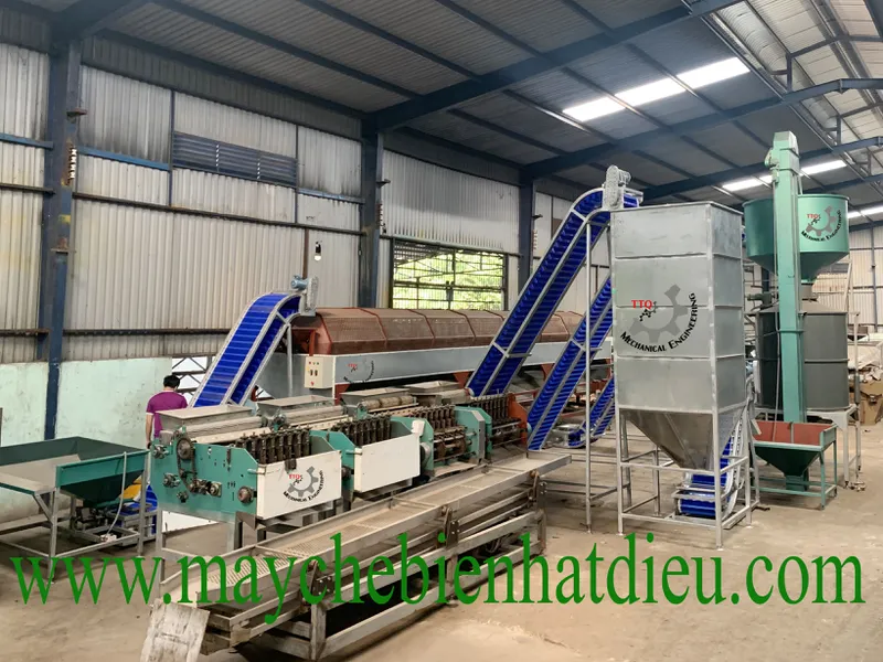 Cashew Processing Plant Cost