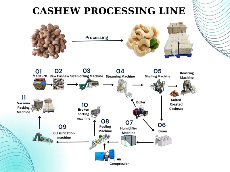 Ligne complète de transformation de noix de cajou au Vietnam – Du brut au produit sous vide