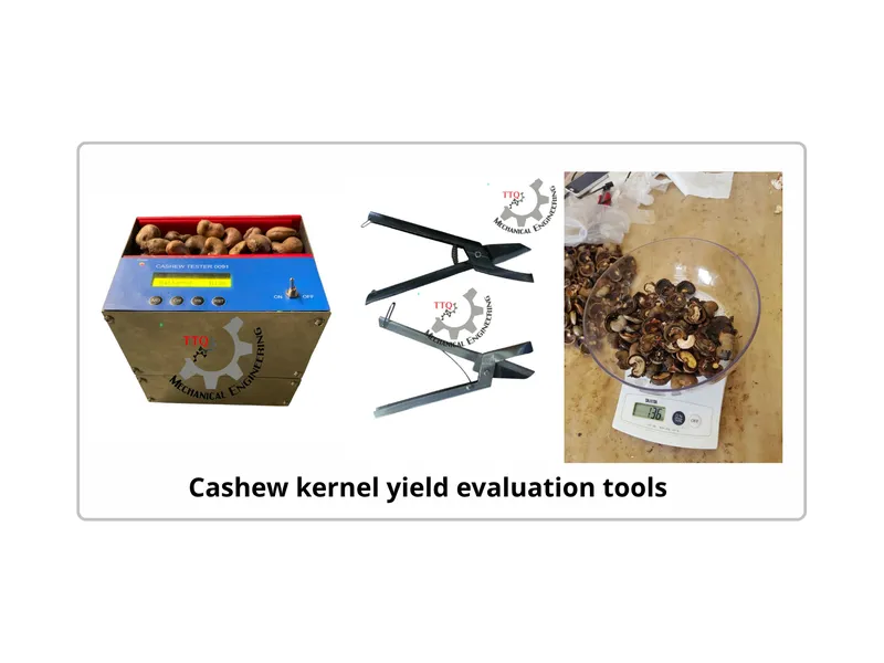 Raw Cashew Nut to Cashew Kernel Ratio | Yield Optimization Guide for Processors