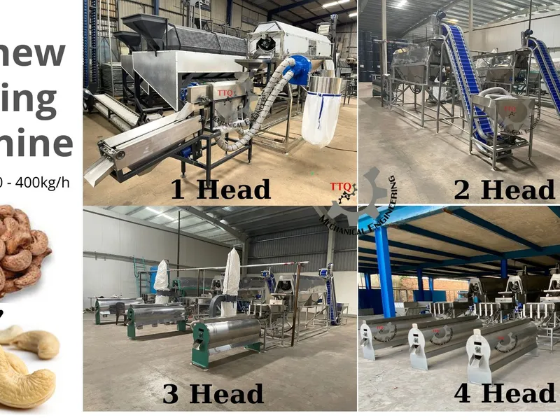 Cashew Nut Peeling Machine | TTQ Vietnam Manufacturer