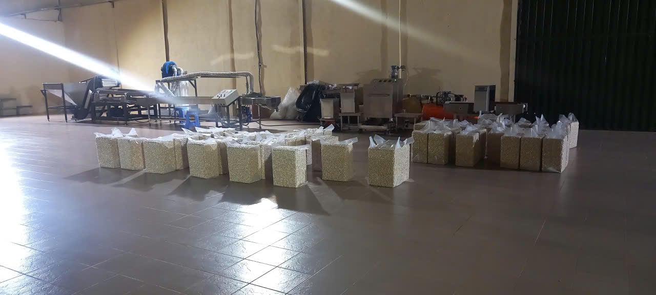 Vacuum-packed cashew kernels ready for sale and export Vacuum-packed cashew kernels ready for sale and export