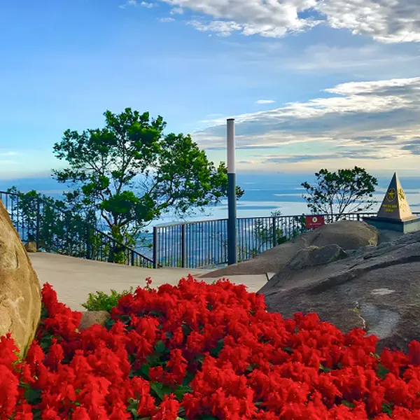 Tour Sài Gòn Tây Ninh 1 Ngày (7-14 Khách)