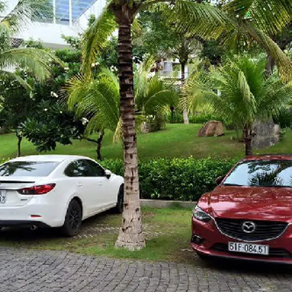 Private Car Vung Tau To Saigon 4 Seater