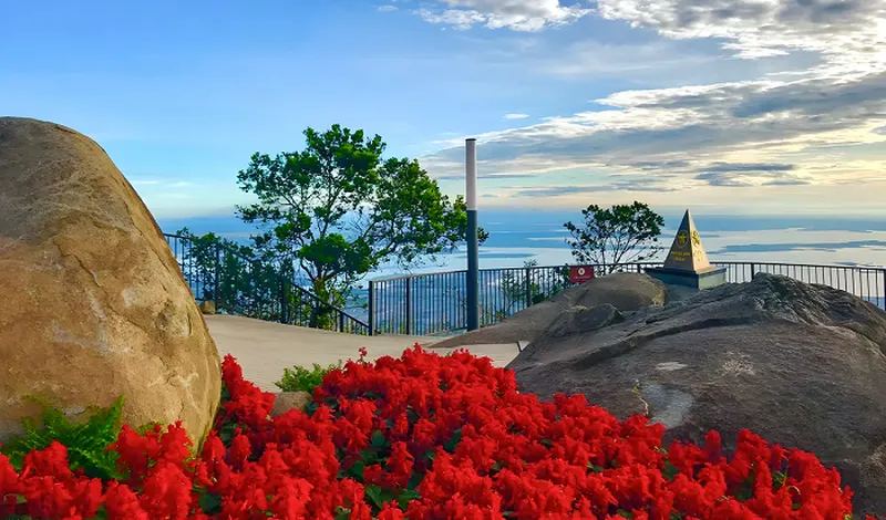 Tour Sài Gòn Tây Ninh 1 Ngày (7-14 Khách)