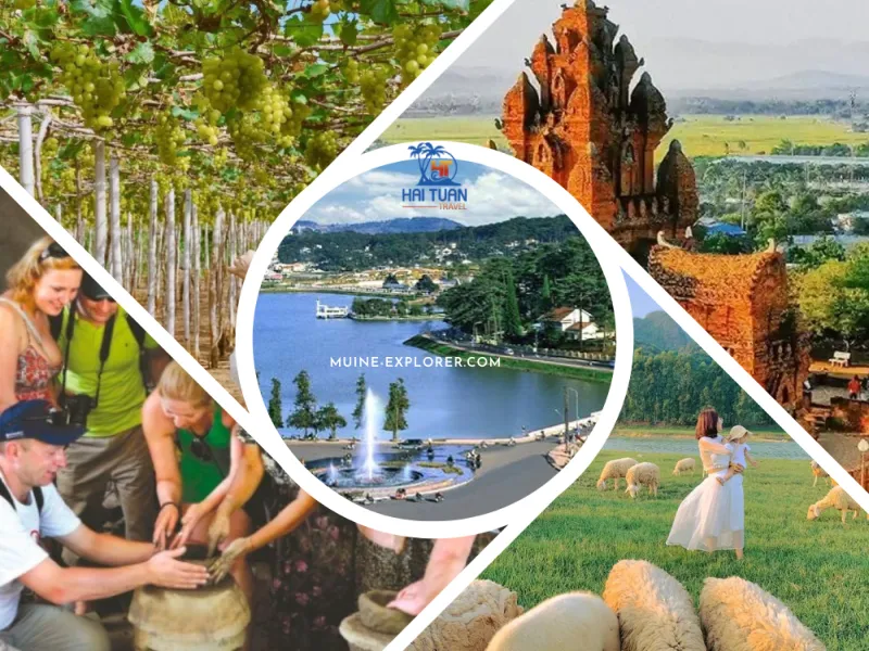 Tour 1 Ngày Từ Đà Lạt Đi Phan Rang Khám Phá Văn Hóa Thắng Cảnh