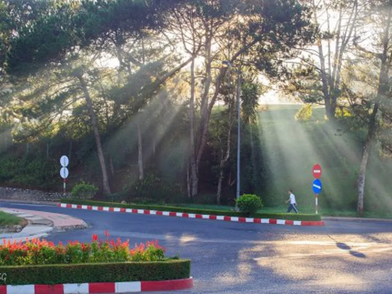 Dalat 1 Day Tour From Nha Trang