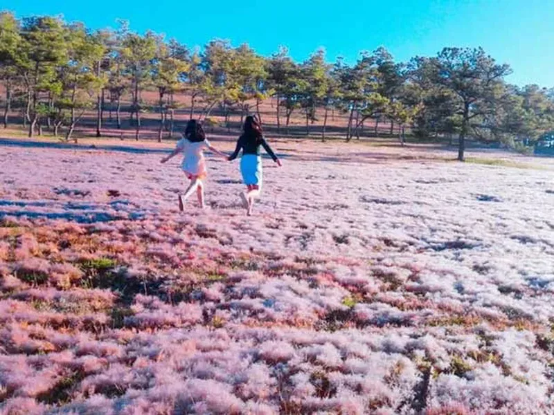 Tour Đà Lạt 3 Ngày 2 Đêm Từ Sài Gòn