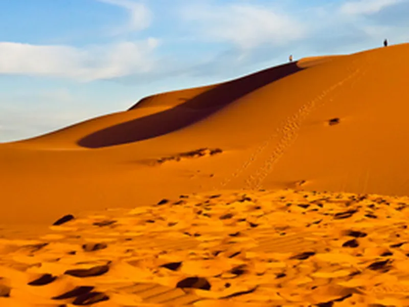 Tour Đồi Cát Mũi Né 1 Ngày Từ Vũng Tàu