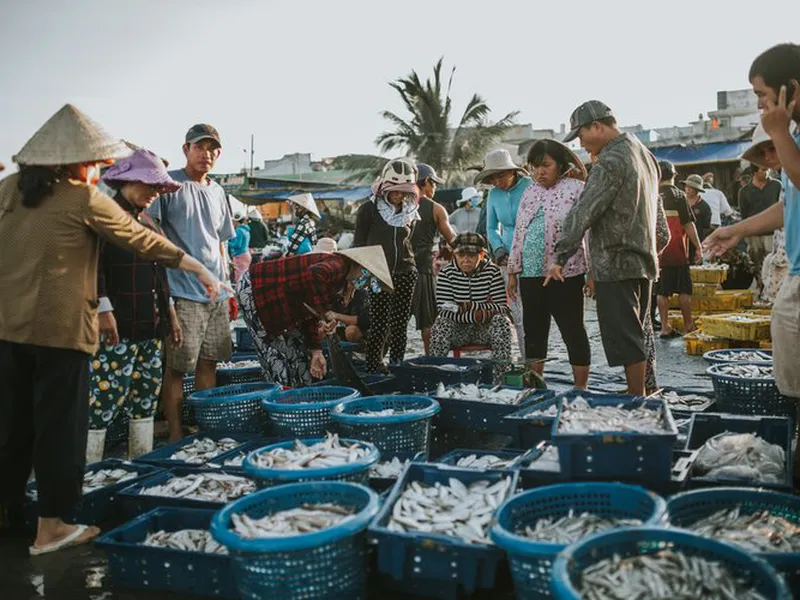 Tour Experience Mui Ne Fish Market & Fishing Village