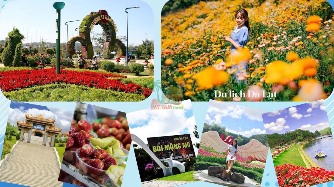 Explore Da Lat Tour With Many Most Attractive Programs From My Tam Travel