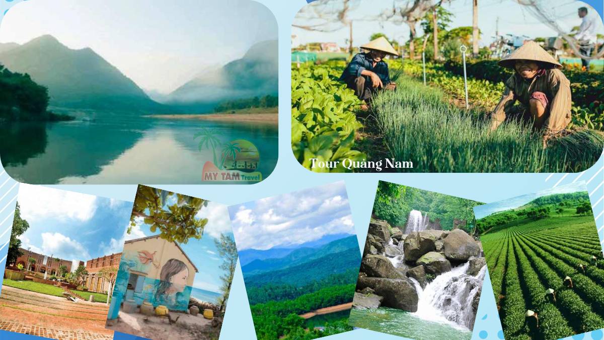 "Quang Nam Tour: 10 Most Attractive Programs For You"