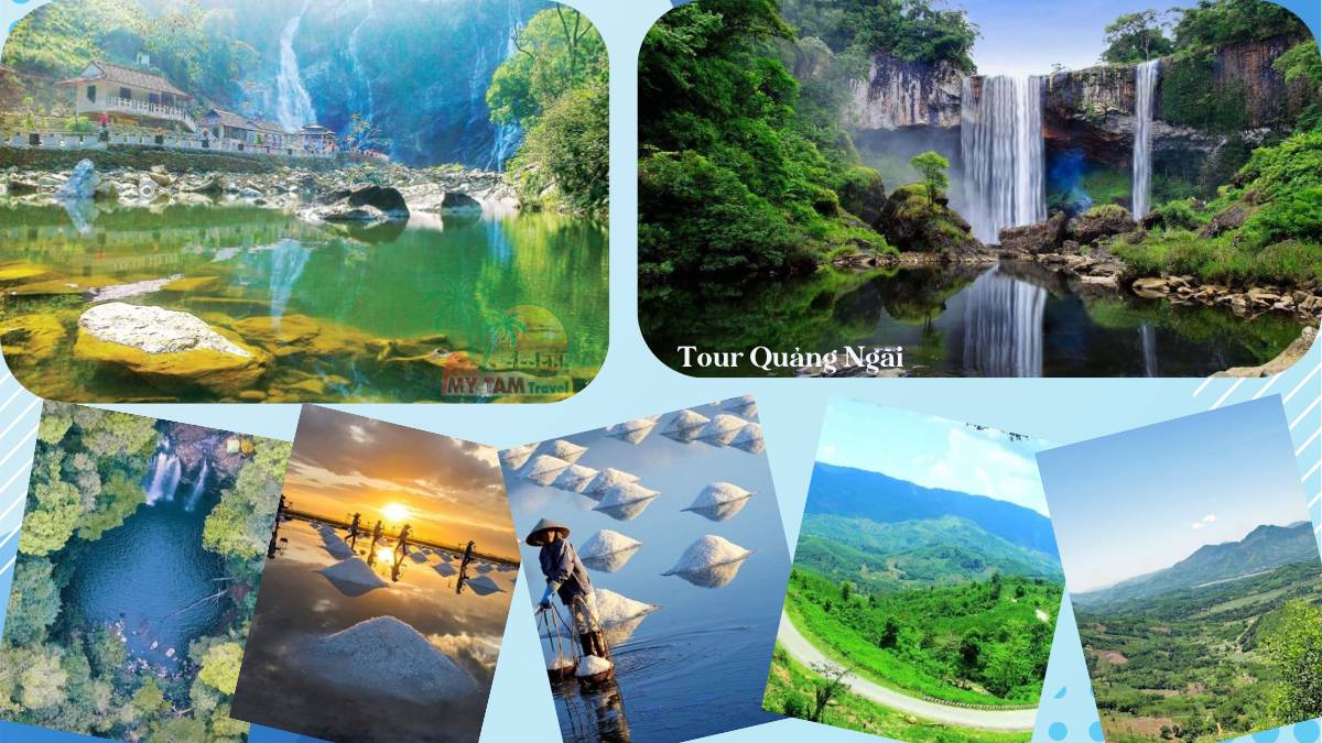 Quang Ngai Tour: 10 Most Attractive Programs You Can't Miss