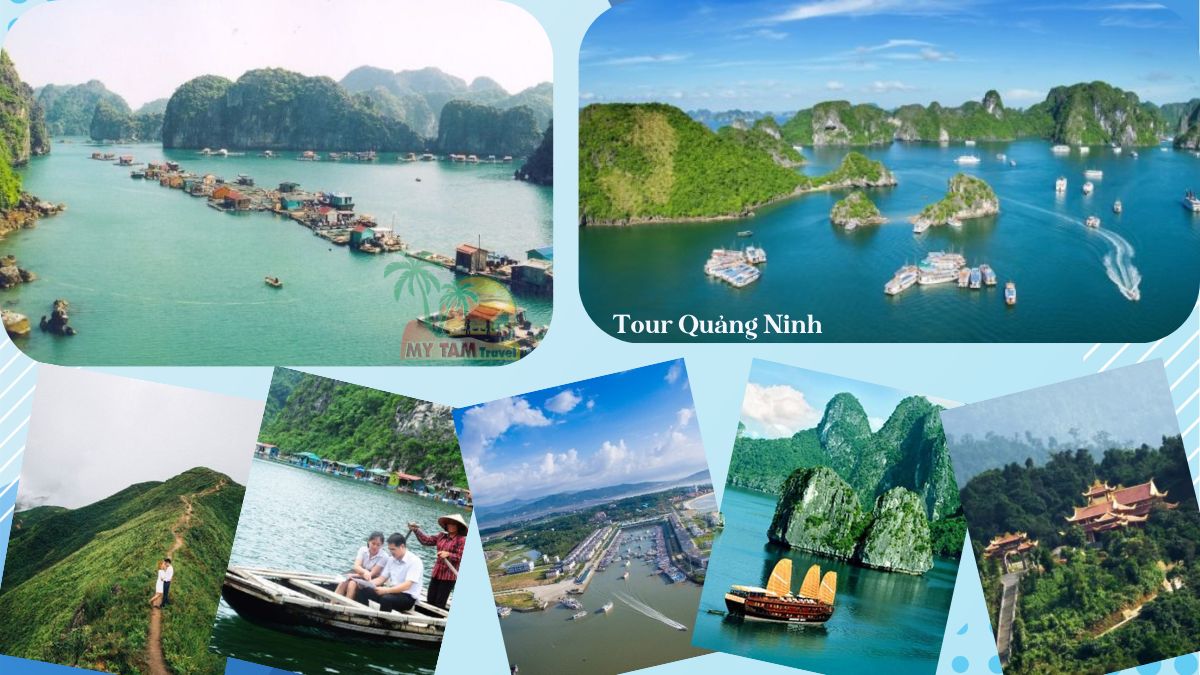 Quang Ninh Tour: 10 Most Attractive Travel Programs 2024