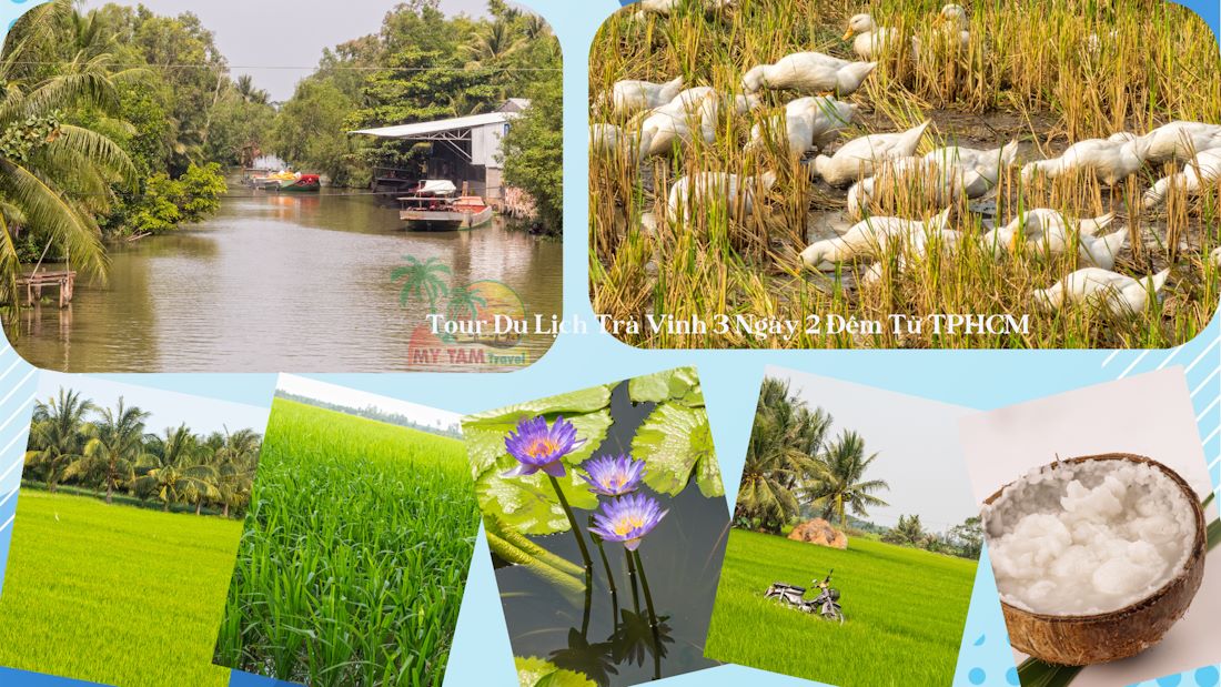 Tra Vinh Tour: 10 most attractive programs, explore amazing nature