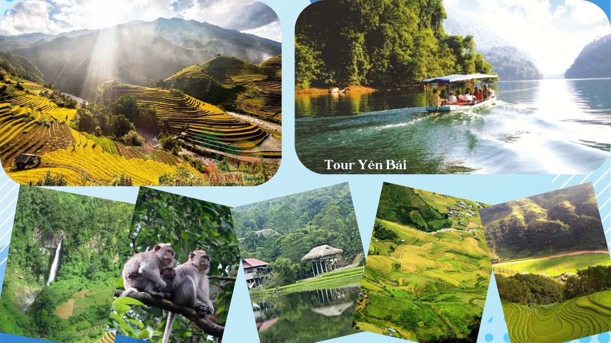 Yen Bai Tour - Promises 10 Northwest destinations not to be missed