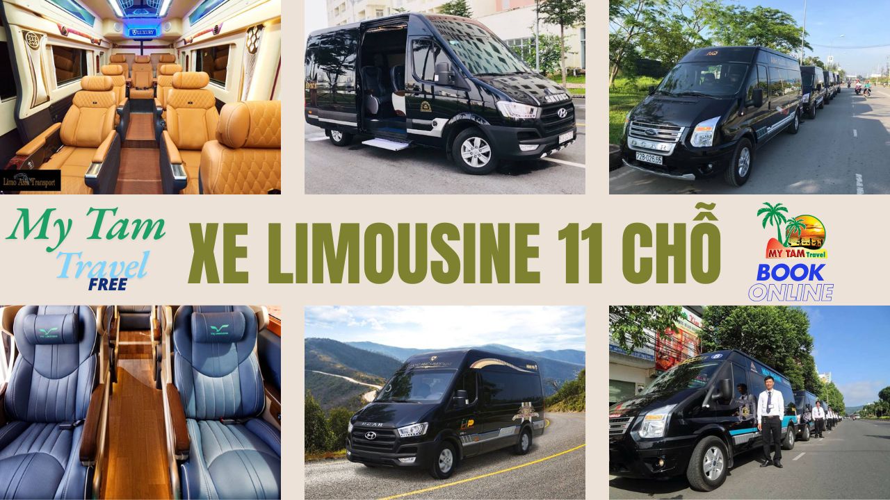 Price of 11-seat Limousine from Mui Ne to Saigon (Hyundai Solati Dcar)