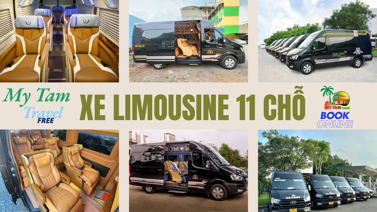 Price of 11-seat Limousine from Mui Ne to Saigon (Hyundai Solati Dcar)