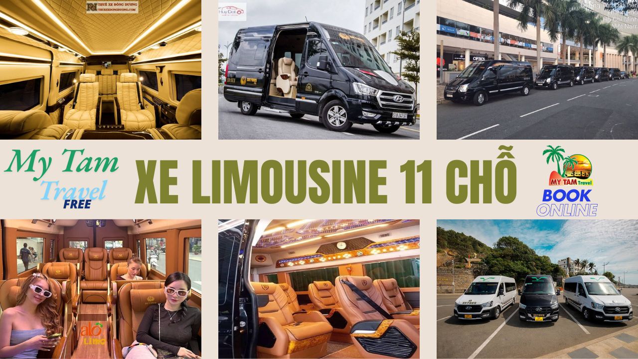 Car rental to Can Tho (Soc Trang, Hau Giang) 4-7-16-29-35-45c Limousine 9-11-15-18-28c