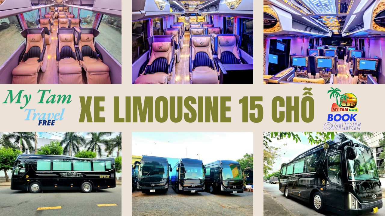 Rent a 45-seat car from Saigon to Mui Ne, New Car 2025 Cheap, Safe, Reputable