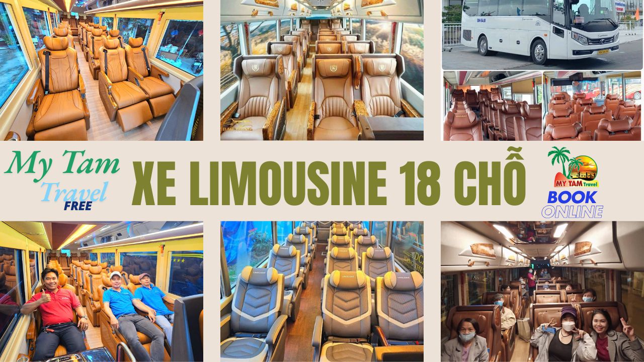 Car Rental Saigon To Mui Ne Price List 2025 Car 4-7-16-29-45-Limousine 9-11-15-18 Seats