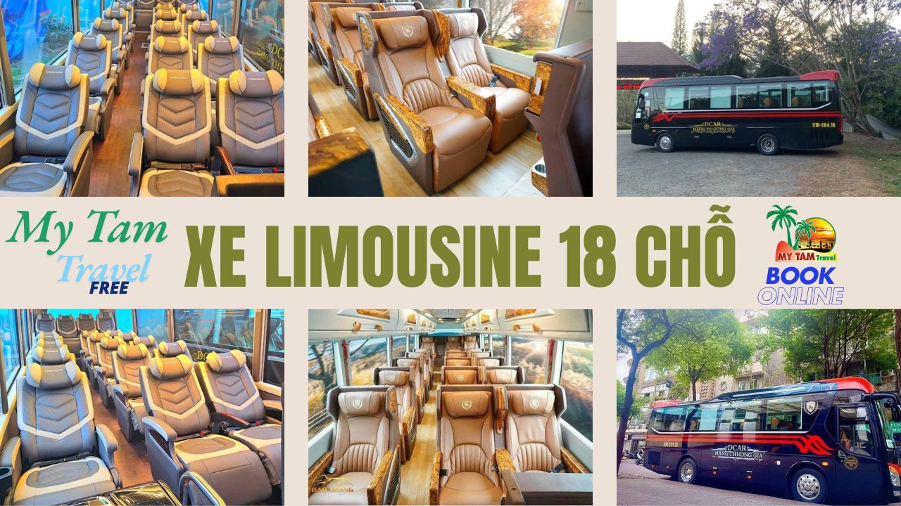 Price of 18-seat Limousine from Saigon to Mui Ne - VIP DCAR THACO