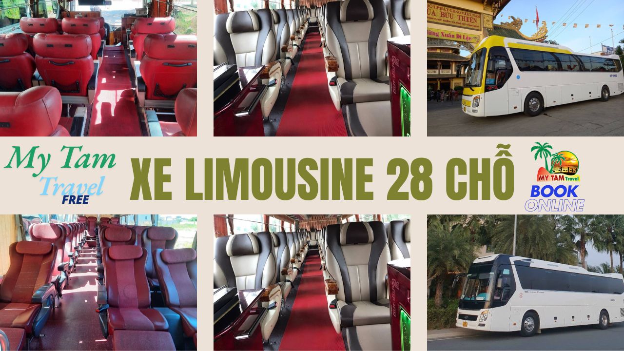 Car Rental Saigon To Mui Ne Price List 2025 Car 4-7-16-29-45-Limousine 9-11-15-18 Seats