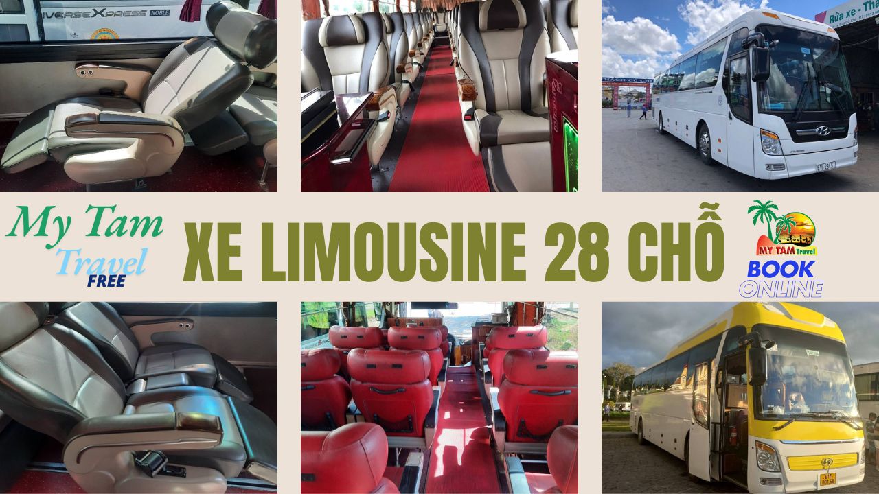 Car Rental in Ho Chi Minh City Price List Updated July 2025 - My Tam Travel