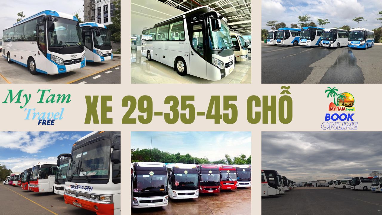 Car rental to Vinh Long 4-7-16-29-35-45c Limousine 9-11-15-18-28c