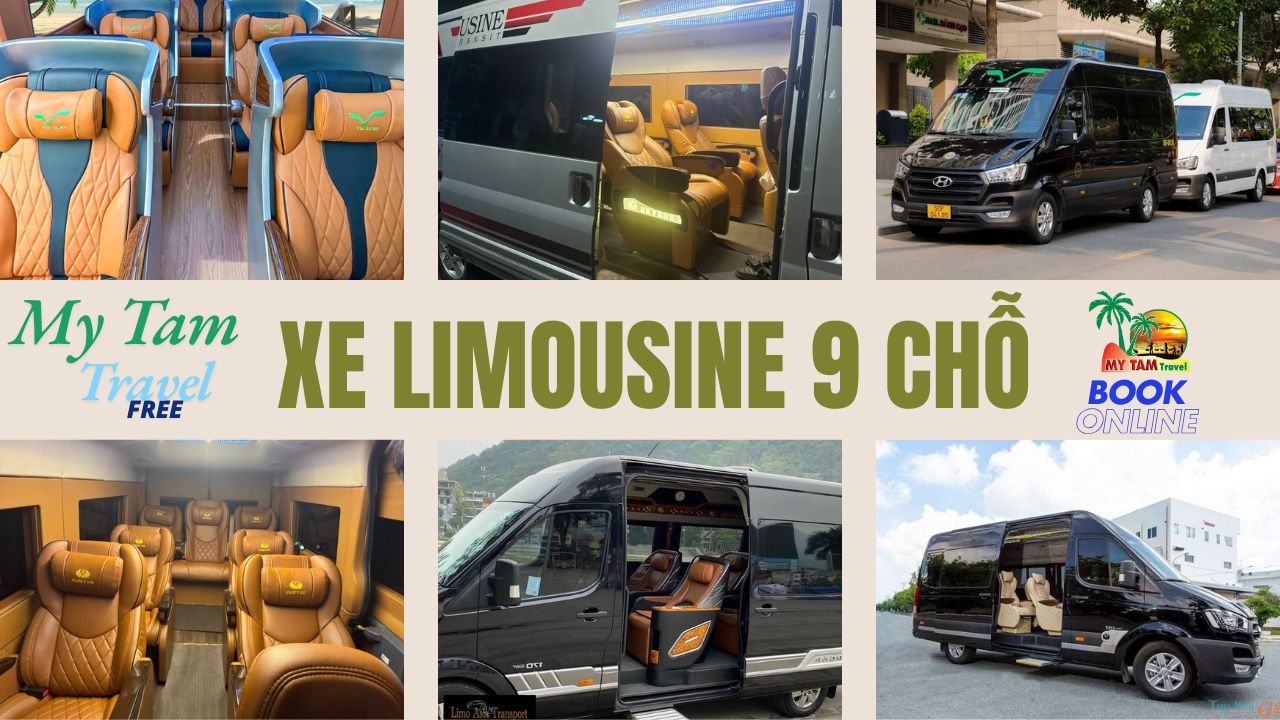 Price of 9-seat Limousine from Mui Ne to Saigon