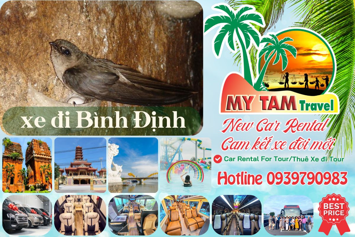Cheap Car Rental Saigon Binh Dinh 4-7-16-29-45c Limousine 9-11-15-18-28c