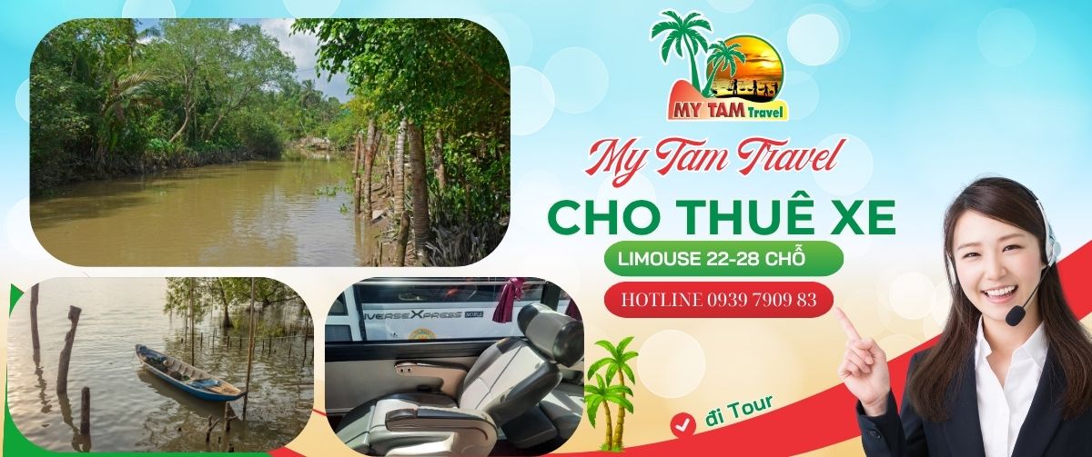 Car rental to Can Tho 2 Days 1 Night 4-7-16-29-35-45c Limousine 9-11-15-18-28c