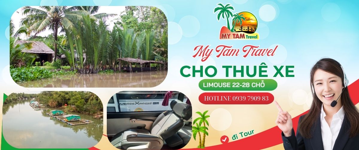 RENTING A CAR FROM SAIGON TO CAN THO: THINGS YOU NEED TO KNOW BEFORE RENTING A CAR